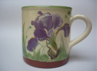 mug iris